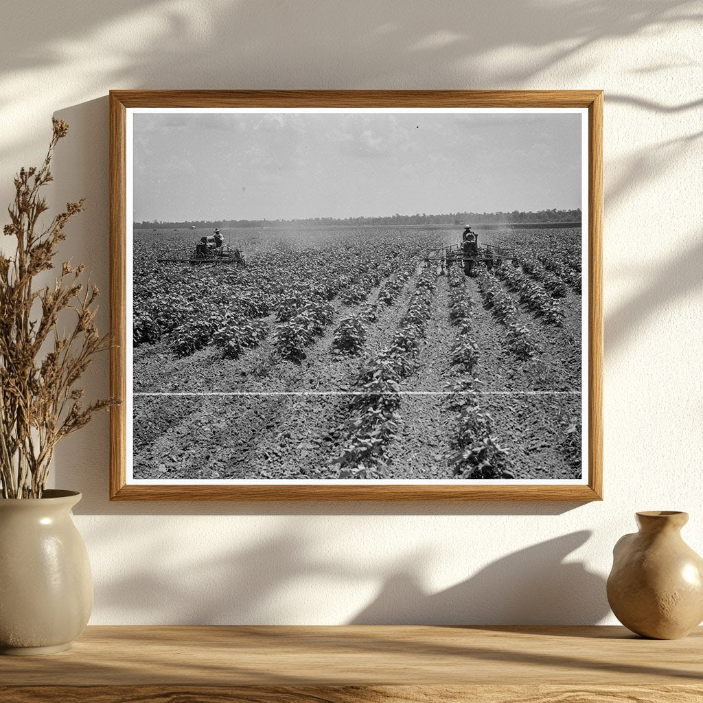 1937 Vintage Image of Tractors on Aldridge Plantation - Available at KNOWOL