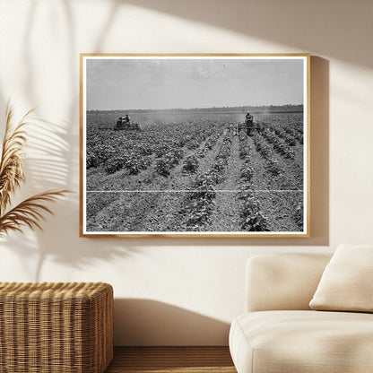 1937 Vintage Image of Tractors on Aldridge Plantation - Available at KNOWOL