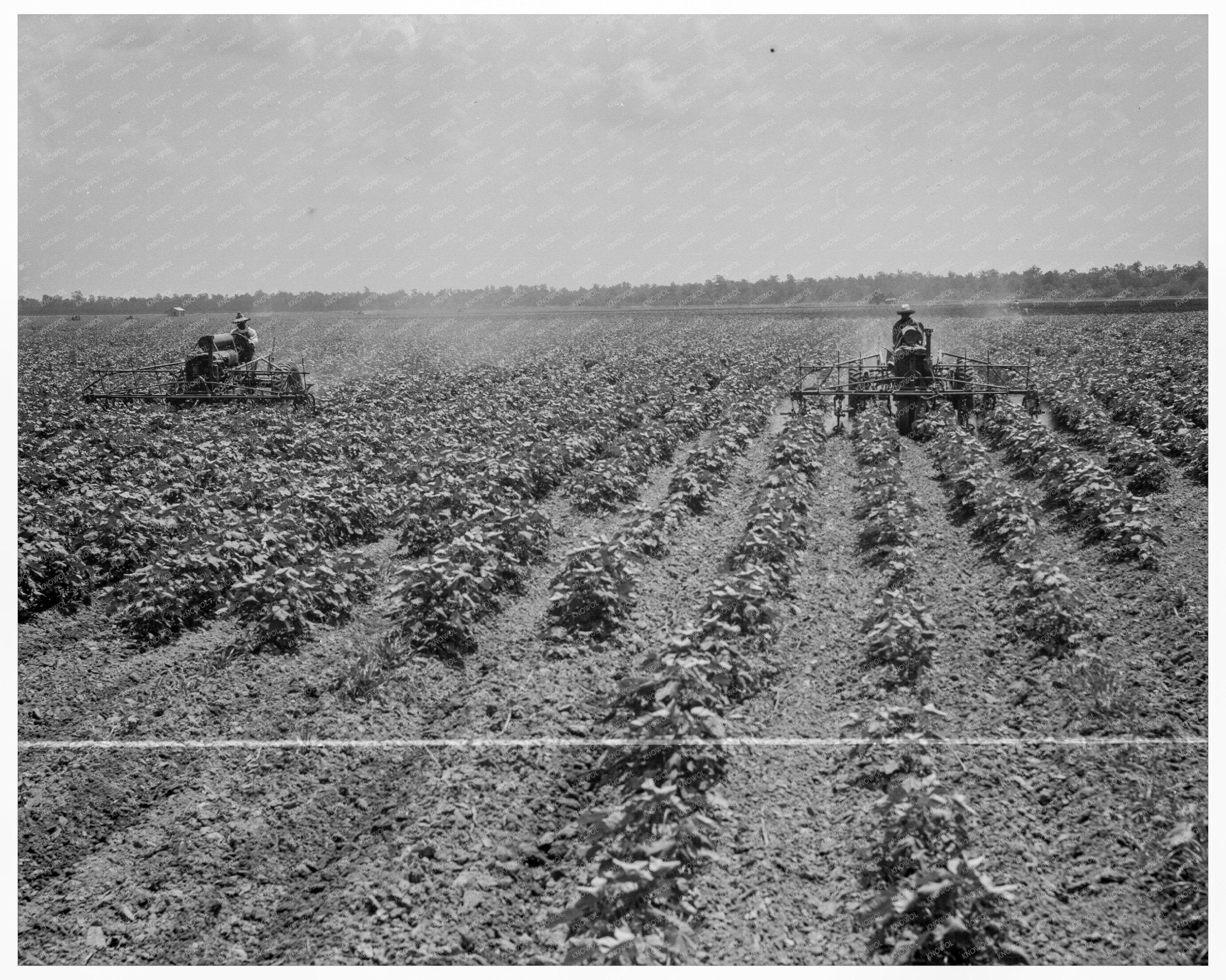 1937 Vintage Image of Tractors on Aldridge Plantation - Available at KNOWOL