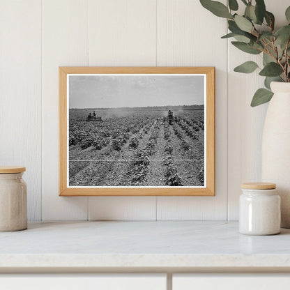 1937 Vintage Image of Tractors on Aldridge Plantation - Available at KNOWOL