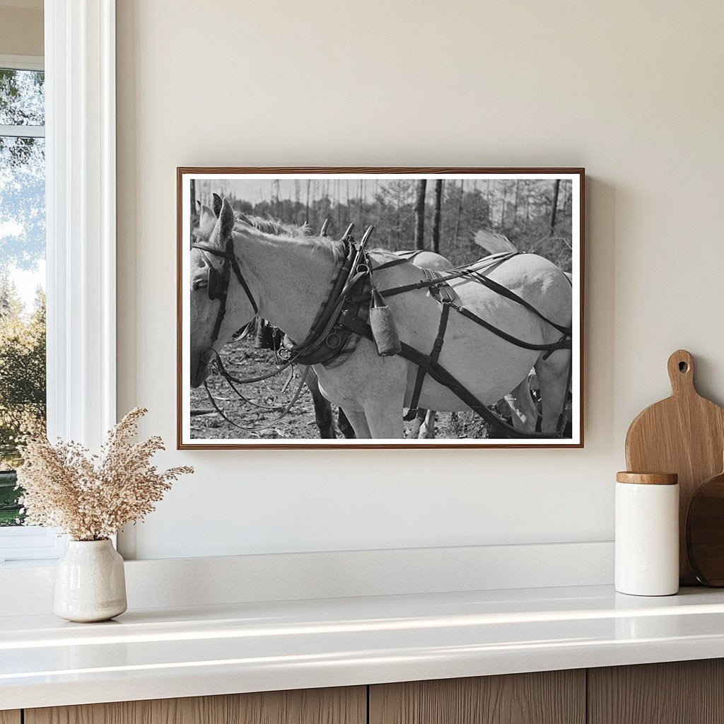 1937 Vintage Lumberjack Camp Water Bottle on Horse Collar - Available at KNOWOL