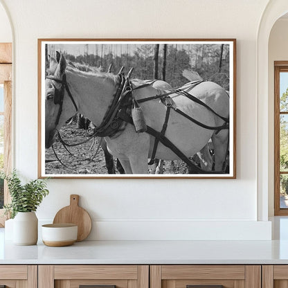 1937 Vintage Lumberjack Camp Water Bottle on Horse Collar - Available at KNOWOL