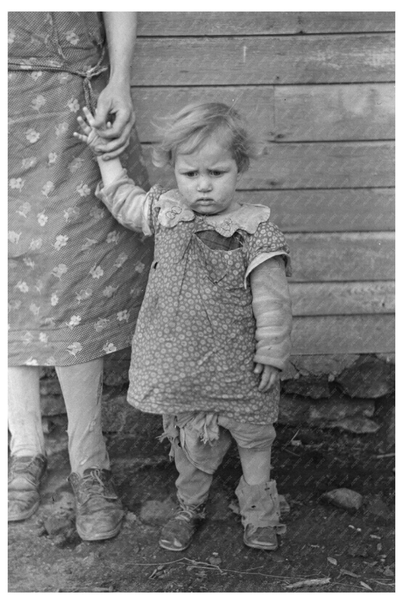 1937 Vintage Photo of Family Life on Iowa Farm - Available at KNOWOL