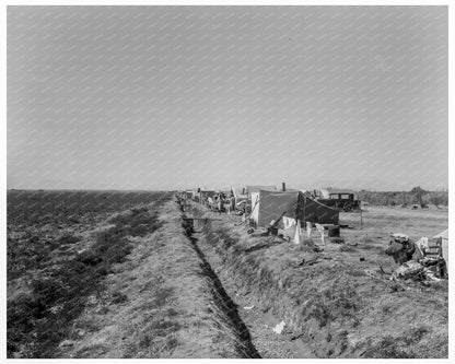 1937 Vintage Photograph of Dust Bowl Squatter Camp California - Available at KNOWOL