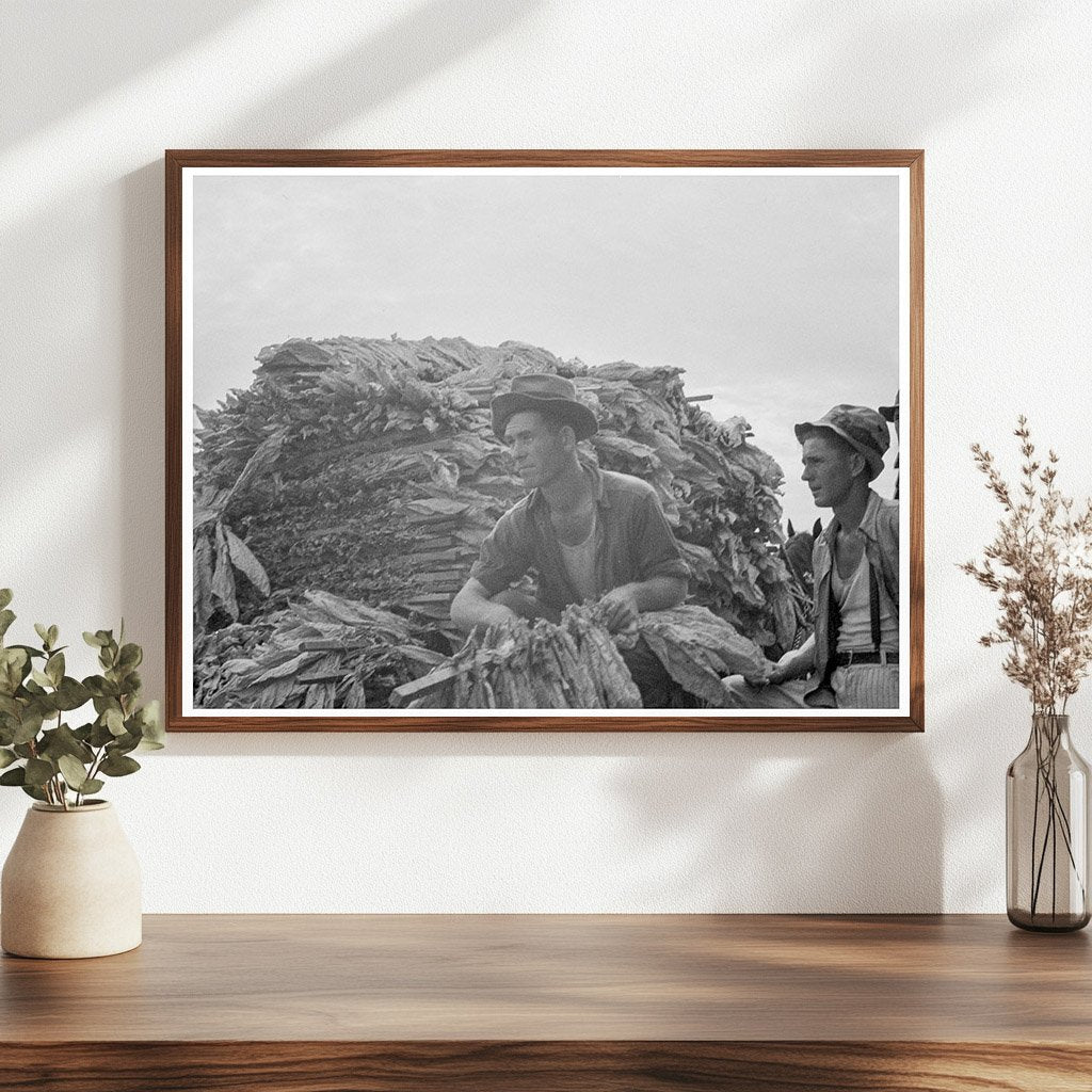 1937 Vintage Tobacco Harvesting in Georgia - Available at KNOWOL