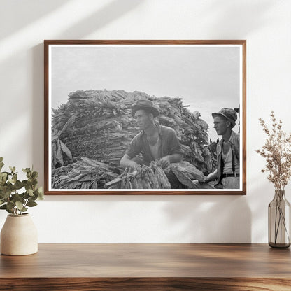 1937 Vintage Tobacco Harvesting in Georgia - Available at KNOWOL