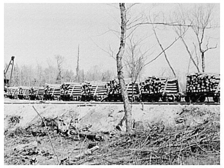 1937 Vintage Trainload of Timber Ready for Sawmill Wisconsin - Available at KNOWOL