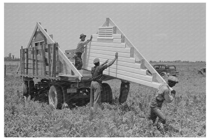 1938 Construction of Houses in Southeast Missouri Farms - Available at KNOWOL