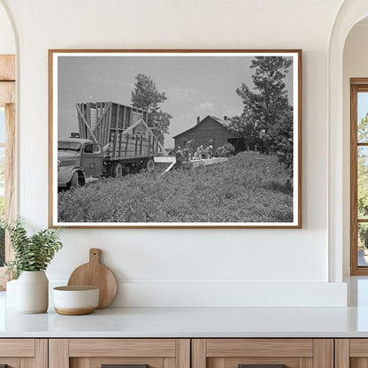 1938 Construction Scene in New Madrid County Missouri - Available at KNOWOL