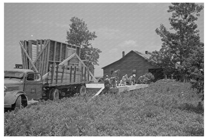 1938 Construction Scene in New Madrid County Missouri - Available at KNOWOL