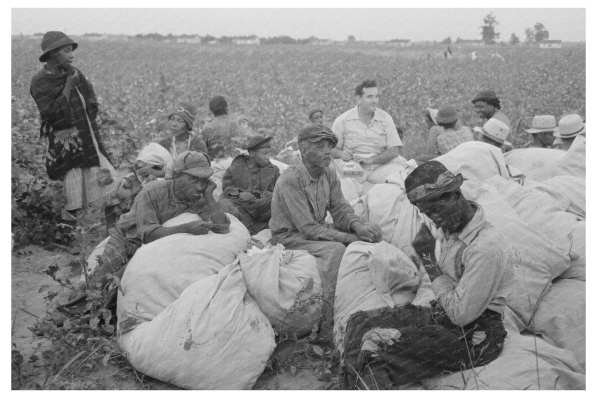 1938 Day Laborers Cotton Pickers Lake Dick Project Arkansas - Available at KNOWOL