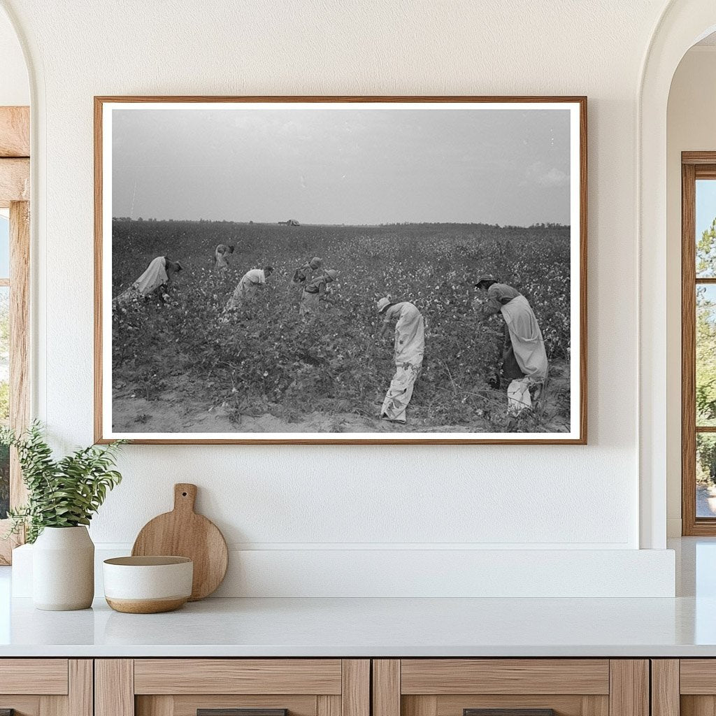 1938 Lake Dick Cooperative Cotton Picking in Arkansas - Available at KNOWOL