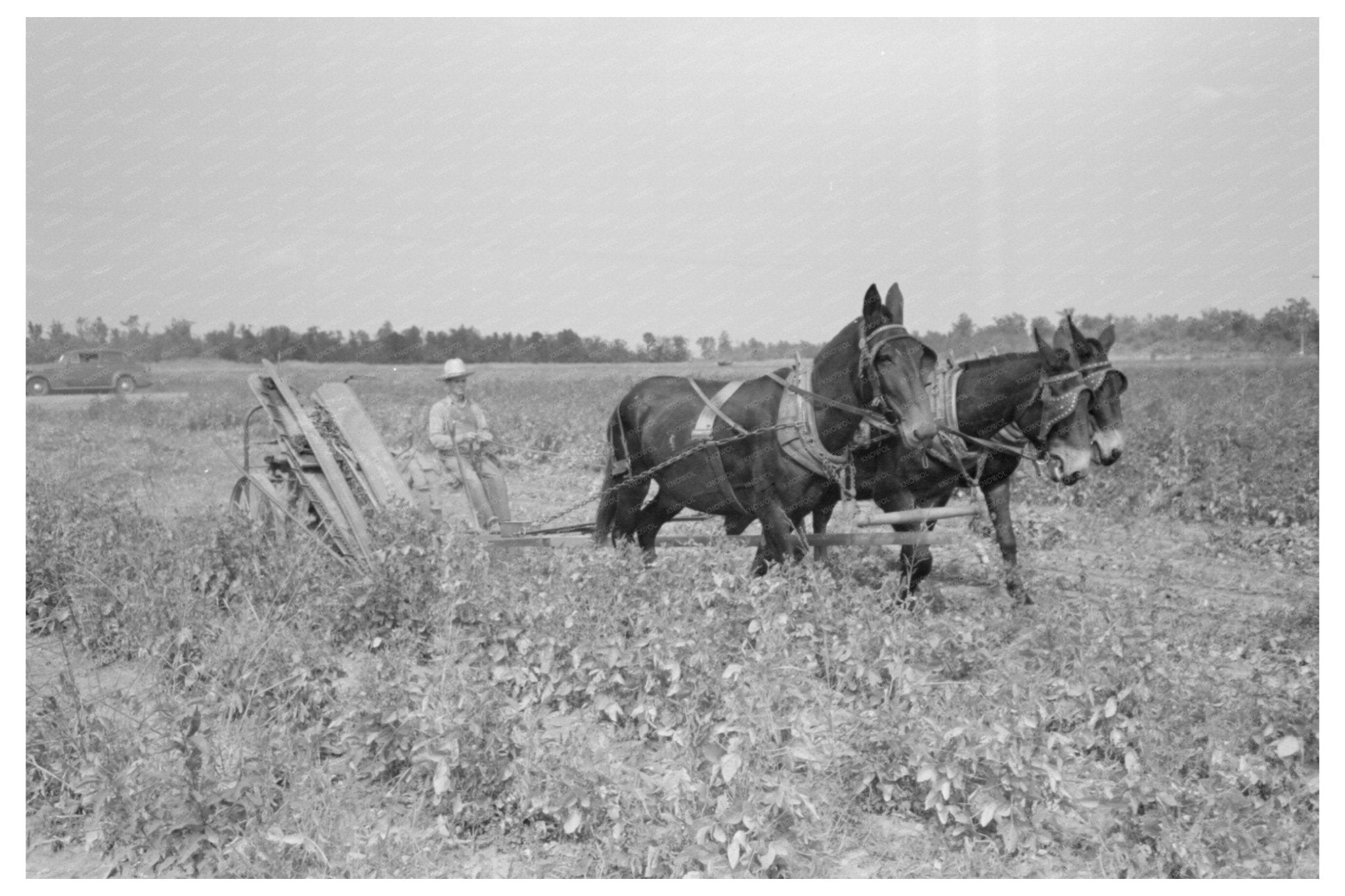 1938 Lake Dick Cooperative Member Repairs Mowing Machine - Available at KNOWOL