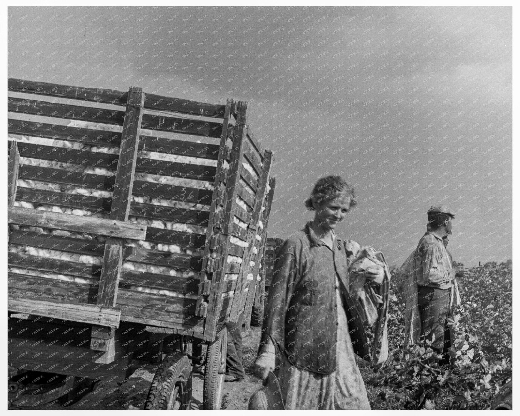 1938 Migratory Cotton Pickers in Kern County California - Available at KNOWOL