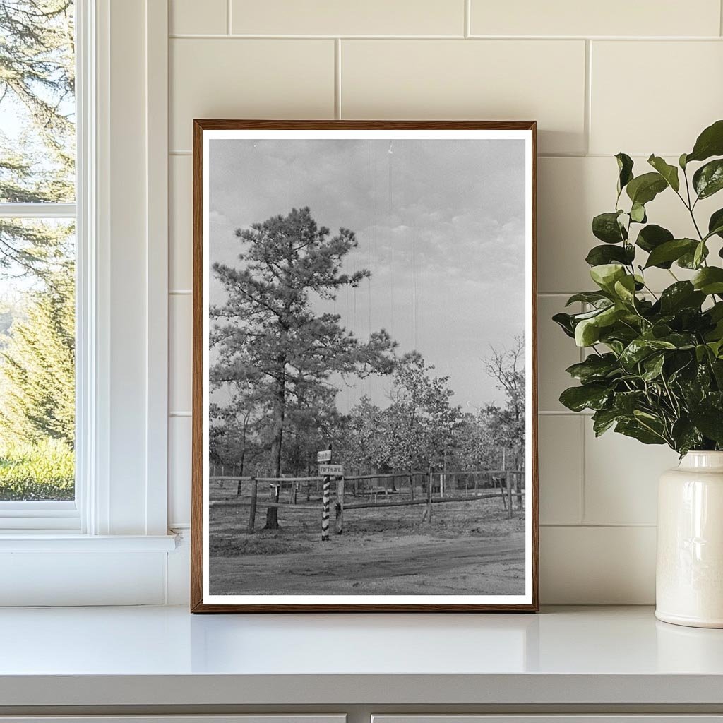 1938 Pine Barrens Land Donation Project Sign Photo - Available at KNOWOL