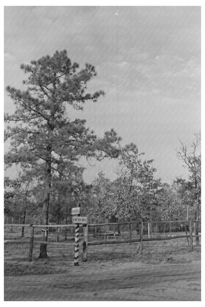 1938 Pine Barrens Land Donation Project Sign Photo - Available at KNOWOL