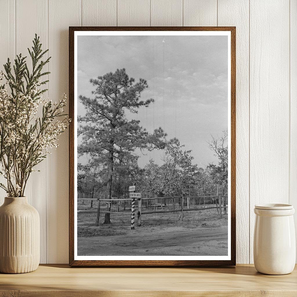 1938 Pine Barrens Land Donation Project Sign Photo - Available at KNOWOL