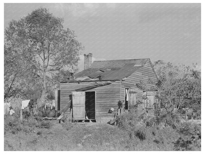 1938 Plantation Worker Home New Roads Louisiana Image - Available at KNOWOL