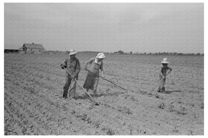 1938 Sharecropper Family Cotton Cultivation Missouri - Available at KNOWOL