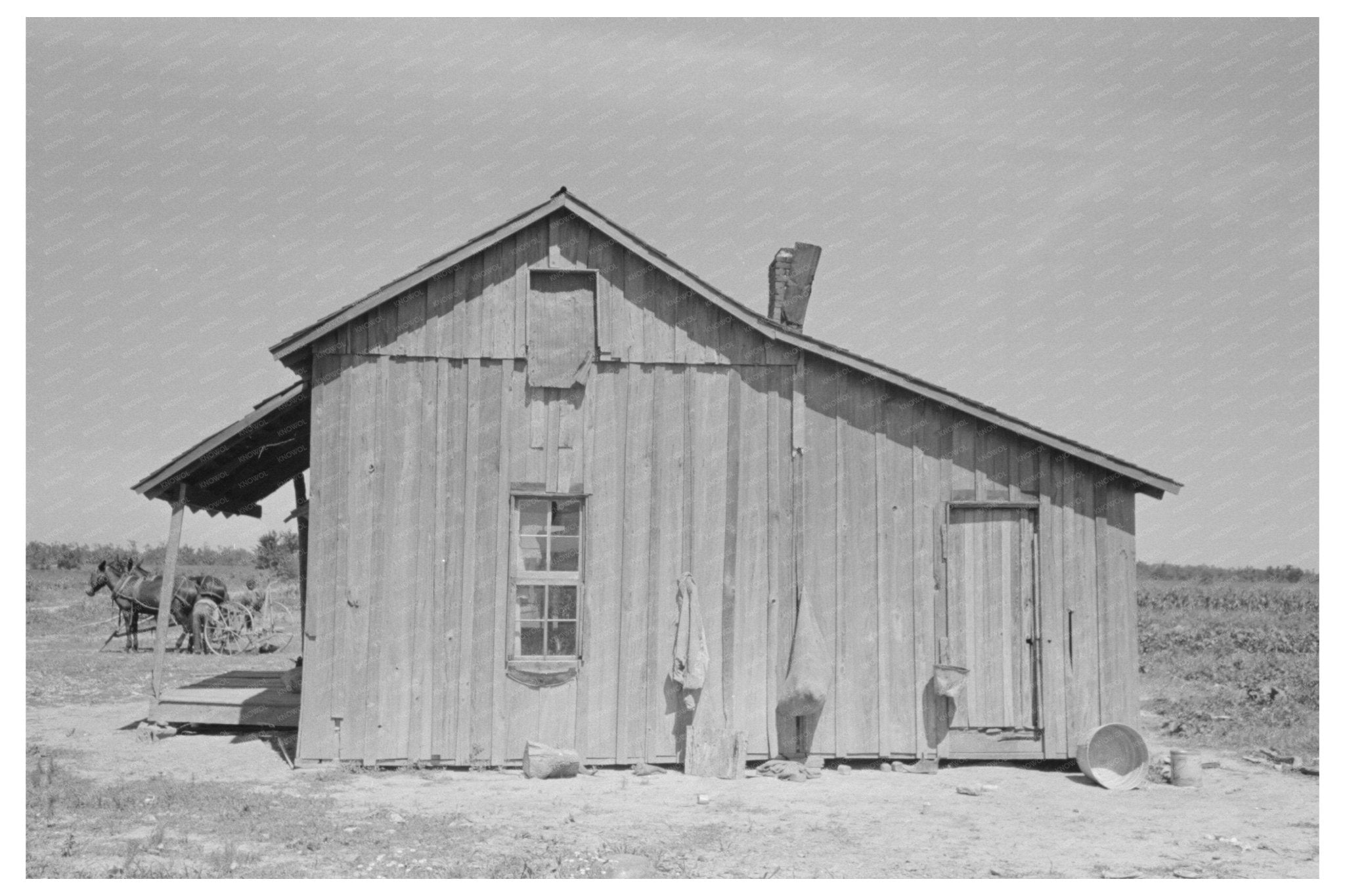 1938 Sharecroppers Cabin in New Madrid County Missouri - Available at KNOWOL