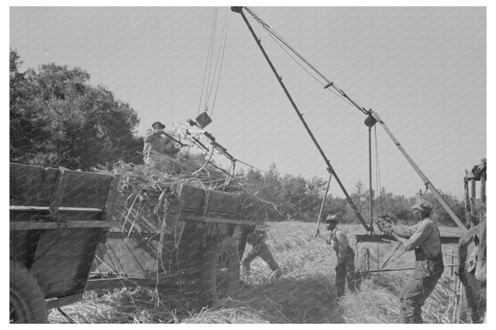 1938 Sugarcane Unloading Machine Near New Iberia Louisiana - Available at KNOWOL