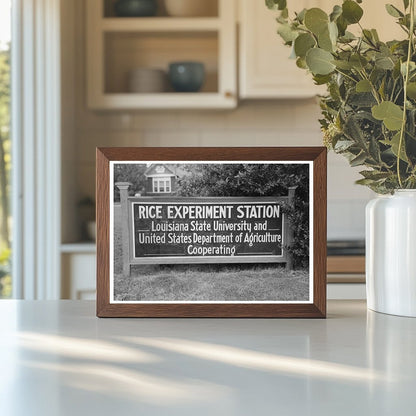 1938 Vintage Experiment Station Sign Crowley Louisiana - Available at KNOWOL