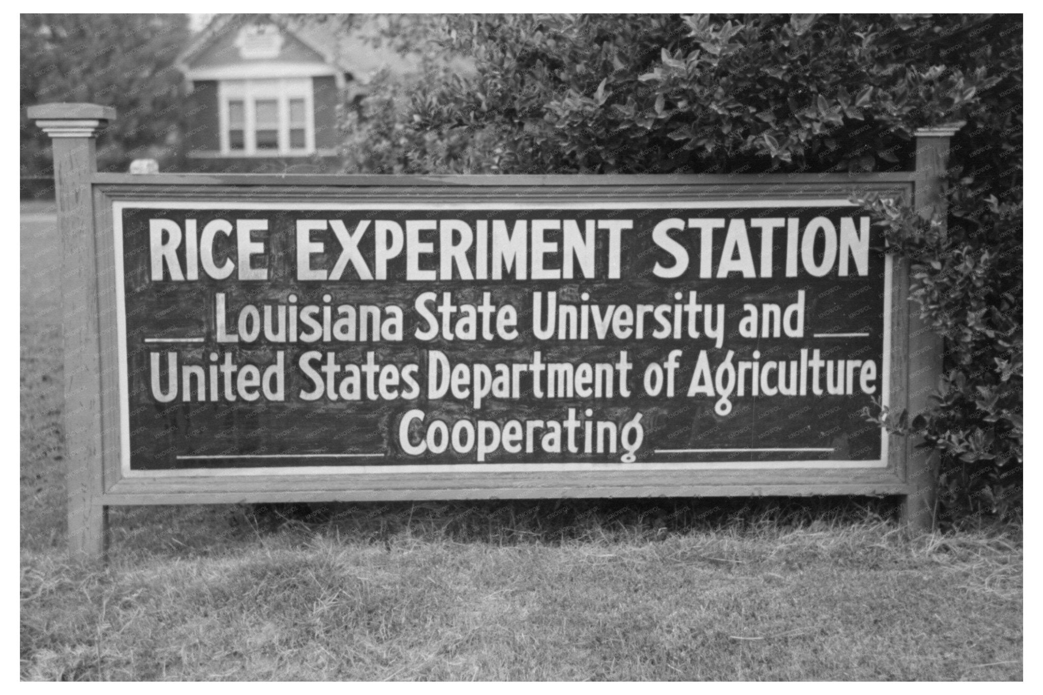 1938 Vintage Experiment Station Sign Crowley Louisiana - Available at KNOWOL