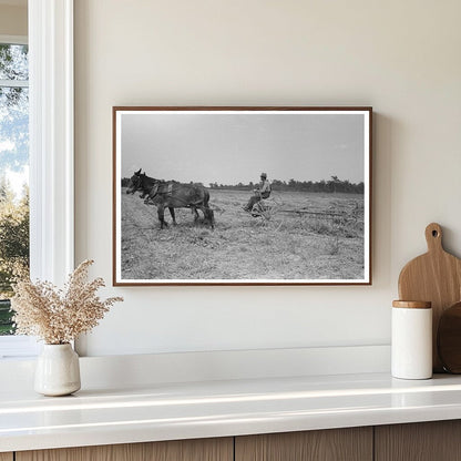 1938 Vintage Image of Raking Soybean Hay in Arkansas - Available at KNOWOL