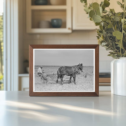 1938 Vintage Image of Sharecropper in Cotton Field Missouri - Available at KNOWOL