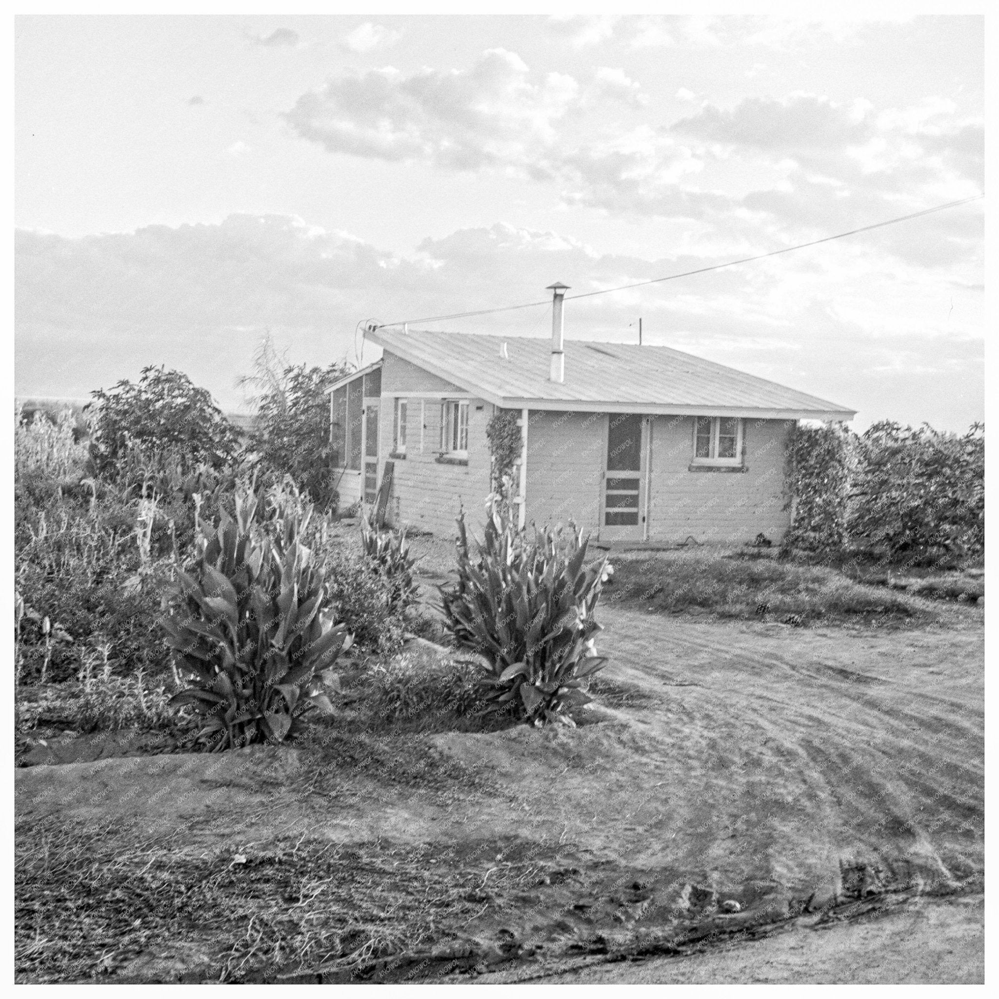 1938 Vintage Photo of Farm Security Housing in California - Available at KNOWOL