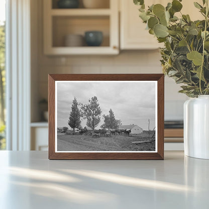 1938 Vintage Photo of Mules and Wagon in Missouri - Available at KNOWOL