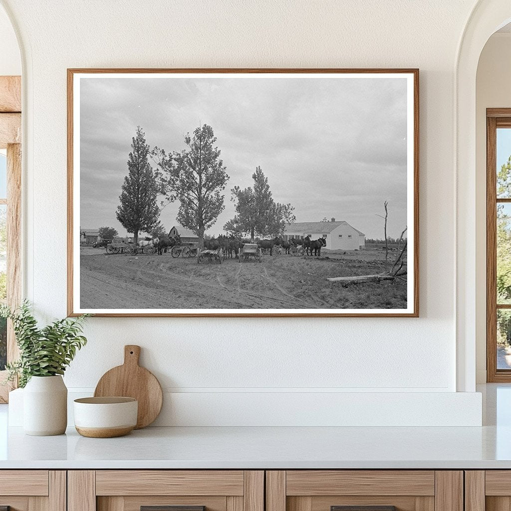 1938 Vintage Photo of Mules and Wagon in Missouri - Available at KNOWOL