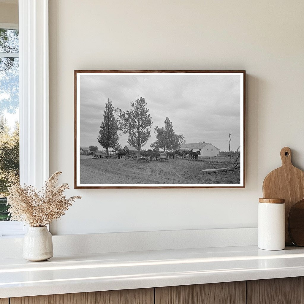 1938 Vintage Photo of Mules and Wagon in Missouri - Available at KNOWOL