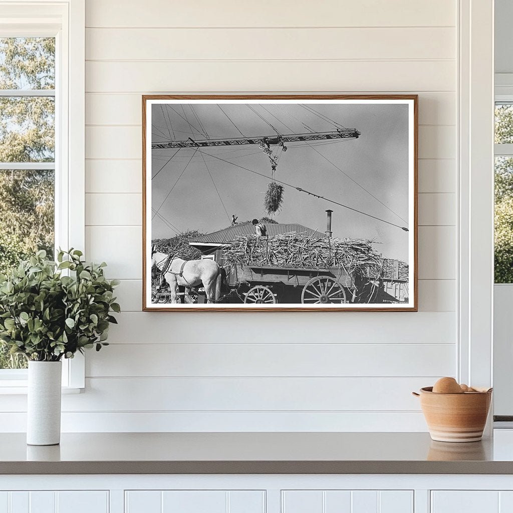 1938 Vintage Photo of Sugarcane Unloading in Louisiana - Available at KNOWOL