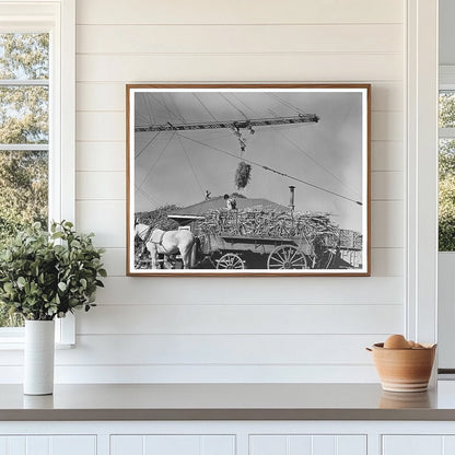 1938 Vintage Photo of Sugarcane Unloading in Louisiana - Available at KNOWOL