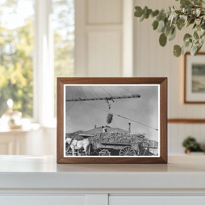 1938 Vintage Photo of Sugarcane Unloading in Louisiana - Available at KNOWOL