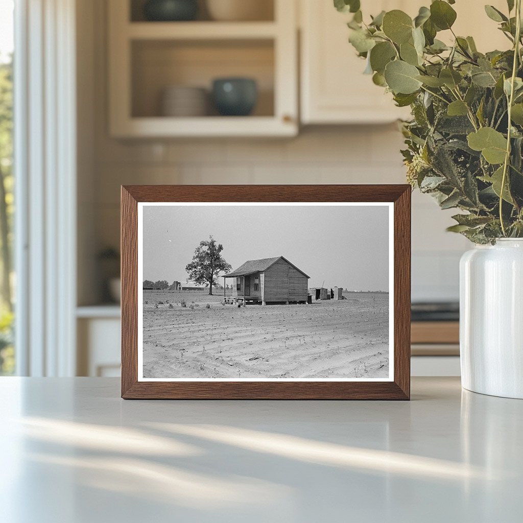 1938 Vintage Photograph of Sharecroppers Cabin in Missouri - Available at KNOWOL