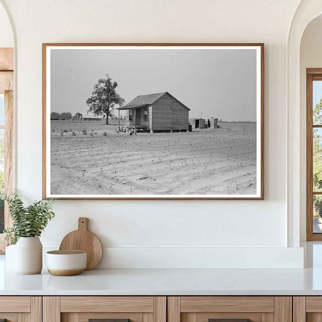 1938 Vintage Photograph of Sharecroppers Cabin in Missouri - Available at KNOWOL