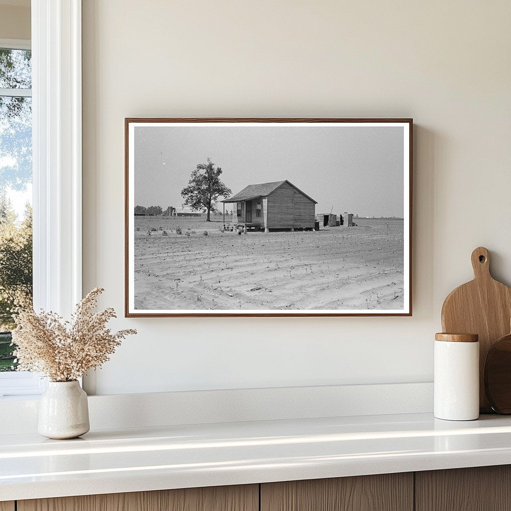 1938 Vintage Photograph of Sharecroppers Cabin in Missouri - Available at KNOWOL