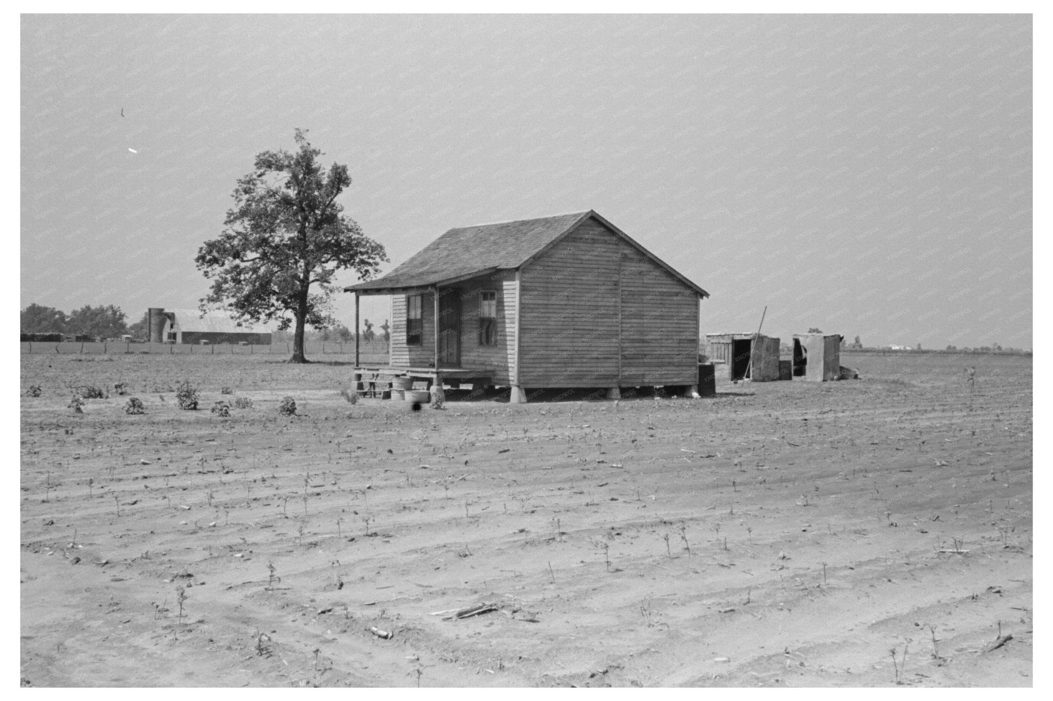 1938 Vintage Photograph of Sharecroppers Cabin in Missouri - Available at KNOWOL