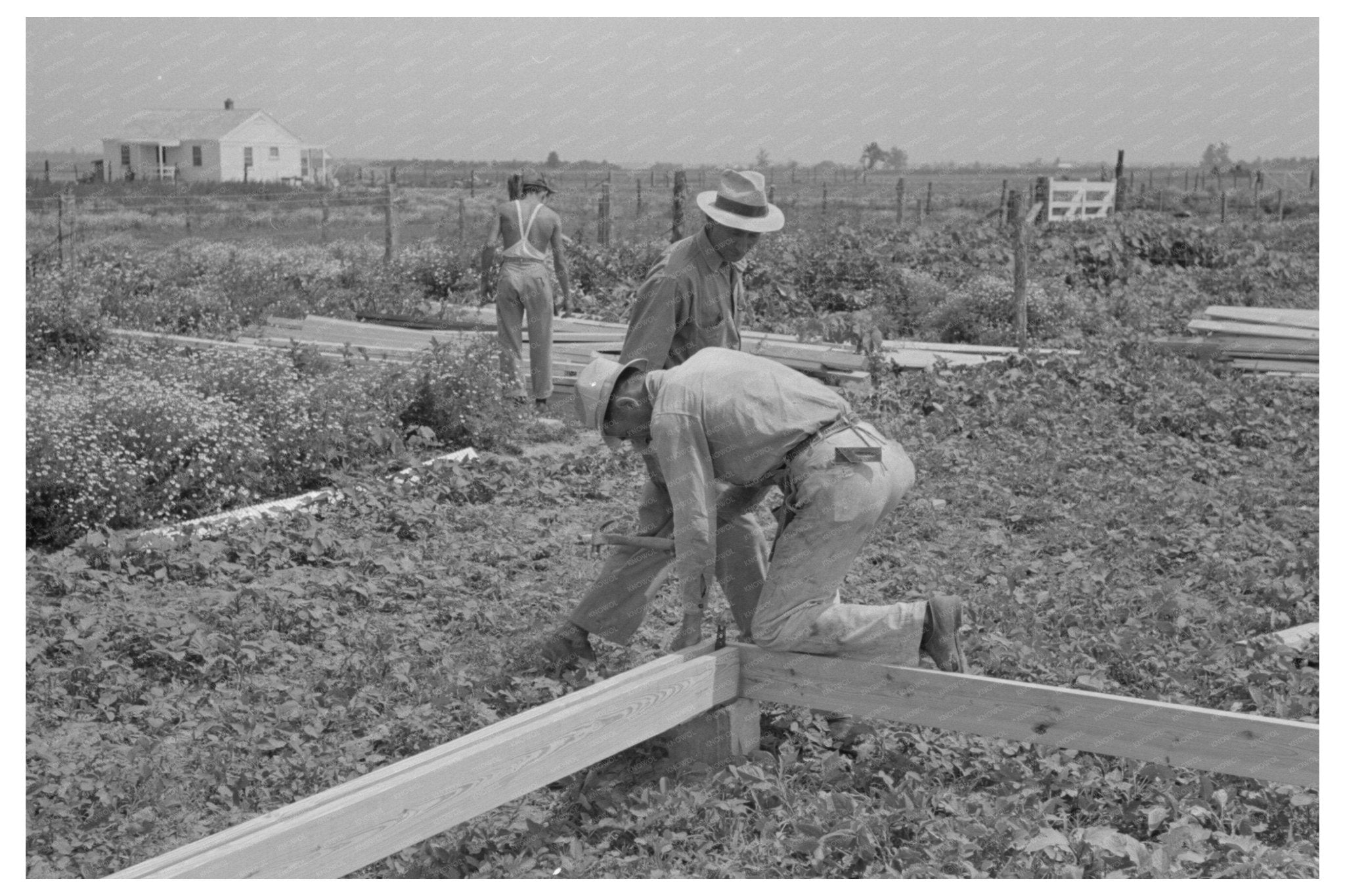 1938 Workers Assembling Girders in Southeast Missouri Farms Project - Available at KNOWOL