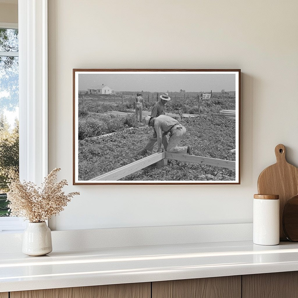 1938 Workers Assembling Girders in Southeast Missouri Farms Project - Available at KNOWOL