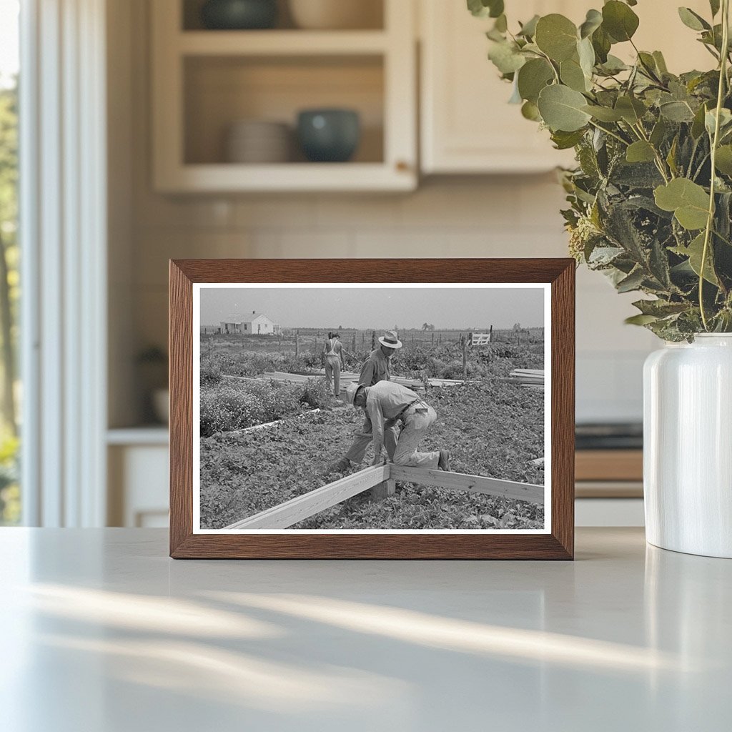 1938 Workers Assembling Girders in Southeast Missouri Farms Project - Available at KNOWOL