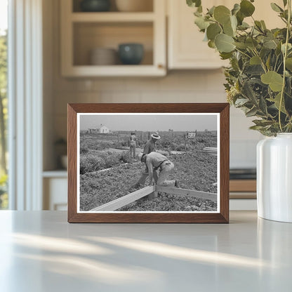 1938 Workers Assembling Girders in Southeast Missouri Farms Project - Available at KNOWOL