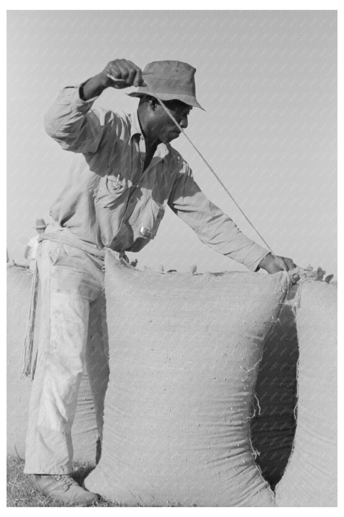 1938 Workers Sewing Rice Bags in Crowley Louisiana - Available at KNOWOL