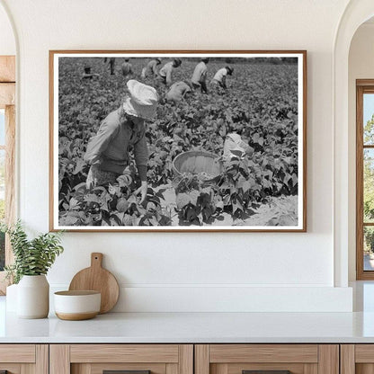 1939 Black and White Photo of Day Laborer in Oklahoma Field - Available at KNOWOL