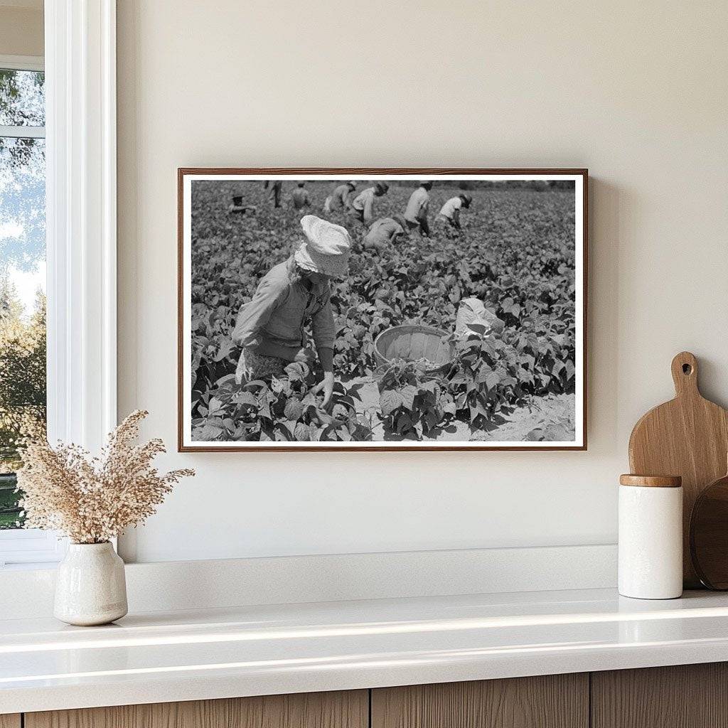 1939 Black and White Photo of Day Laborer in Oklahoma Field - Available at KNOWOL