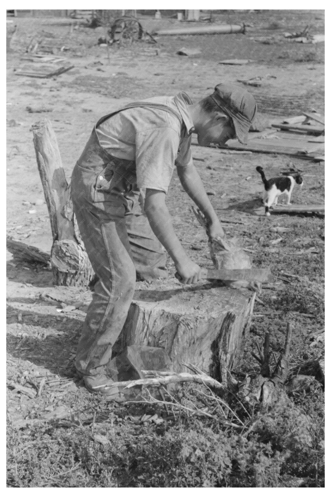 1939 Boy Preparing to Slaughter Chicken on Kansas Farm - Available at KNOWOL