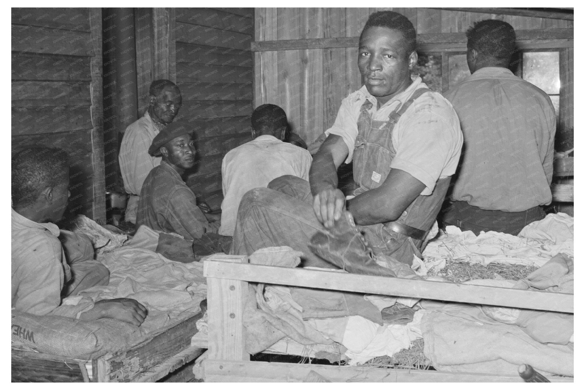 1939 Bunkhouse Living Conditions for Strawberry Pickers - Available at KNOWOL