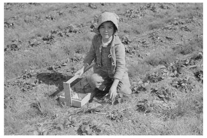 1939 Child of White Migrant Strawberry Picker Hammond Louisiana - Available at KNOWOL